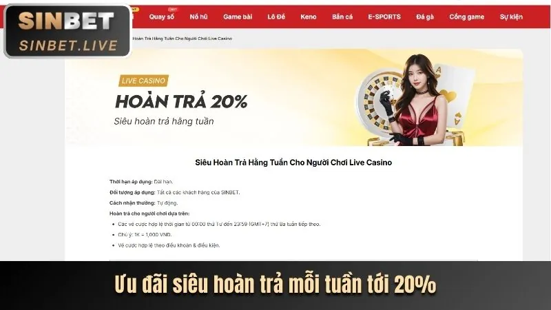 Ưu đãi độc quyền dành cho VIP